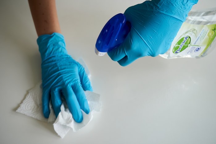 Professional cleaning supplies arranged for a service visit